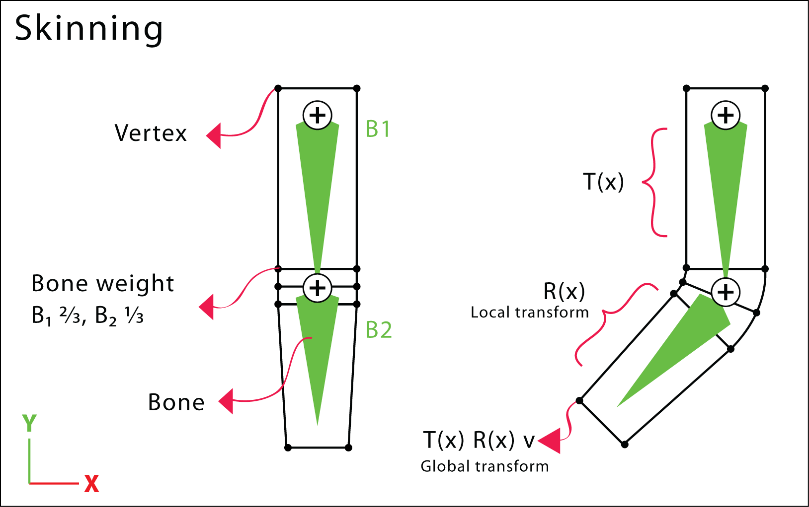 Skinning